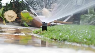 Horticultural Materials