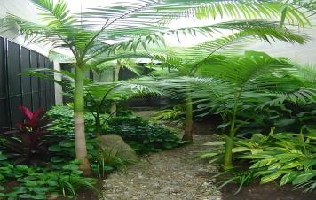 Indoor & Outdoor Plants