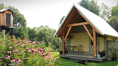 Timber Structure Construction