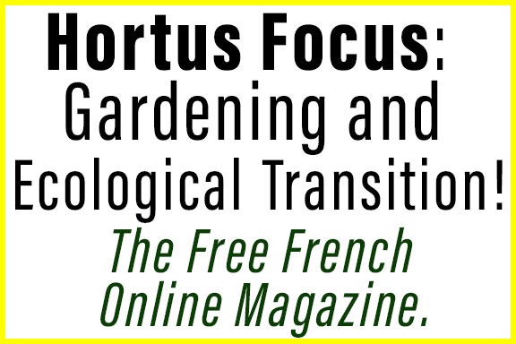 Hortus Focus